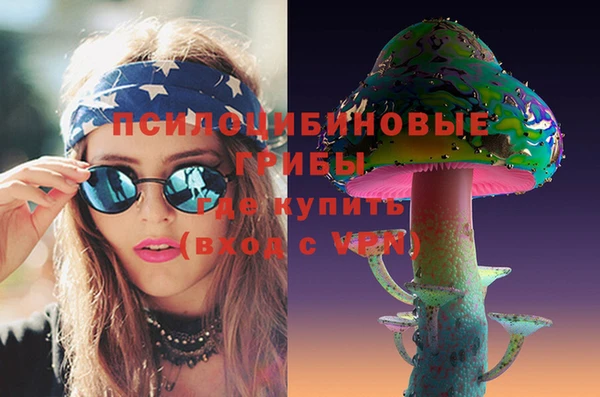 стафф Алексин